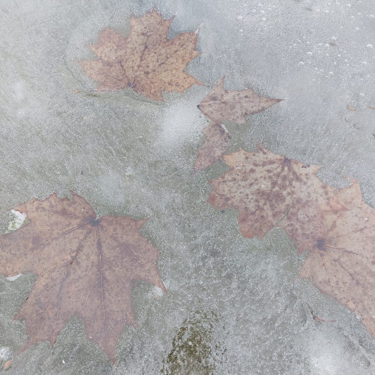 Warsztaty: kolaż (nie)zależny